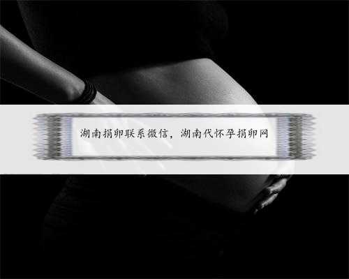 <b>湖南捐卵联系微信，湖南代怀孕捐卵网</b>