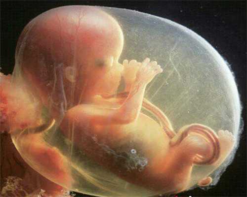 胎教-令胎儿快乐的16件事情