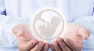 2022在厦门哪些地方可以利用供卵试管婴儿技术助孕？