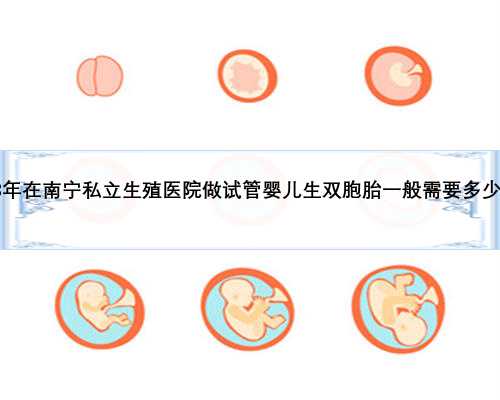 2023年在南宁私立生殖医院做试管婴儿生双胞胎一般需要多少钱？