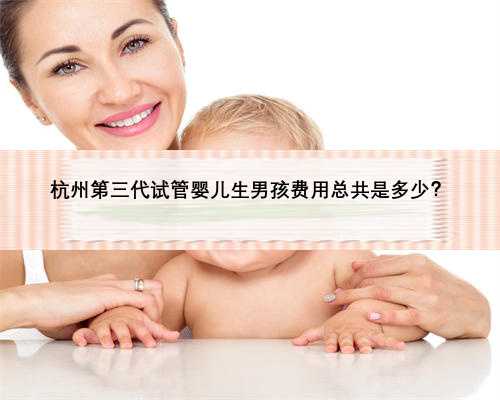 杭州第三代试管婴儿生男孩费用总共是多少？
