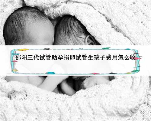 邵阳三代试管助孕捐卵试管生孩子费用怎么收