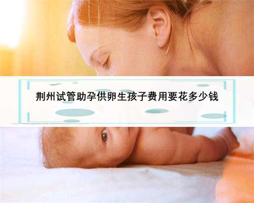 荆州试管助孕供卵生孩子费用要花多少钱